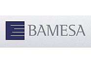 Bamesa